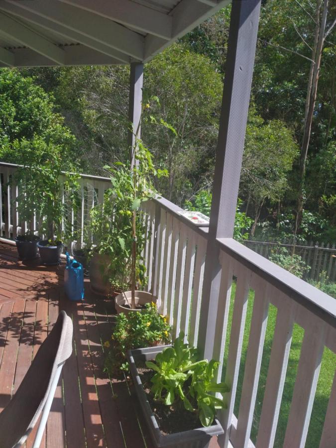 Near To Everything Yet In A Rainforest Setting Tewantin Exteriör bild